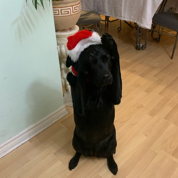 Meet your Posher, Katherine - Picture 1 of 1